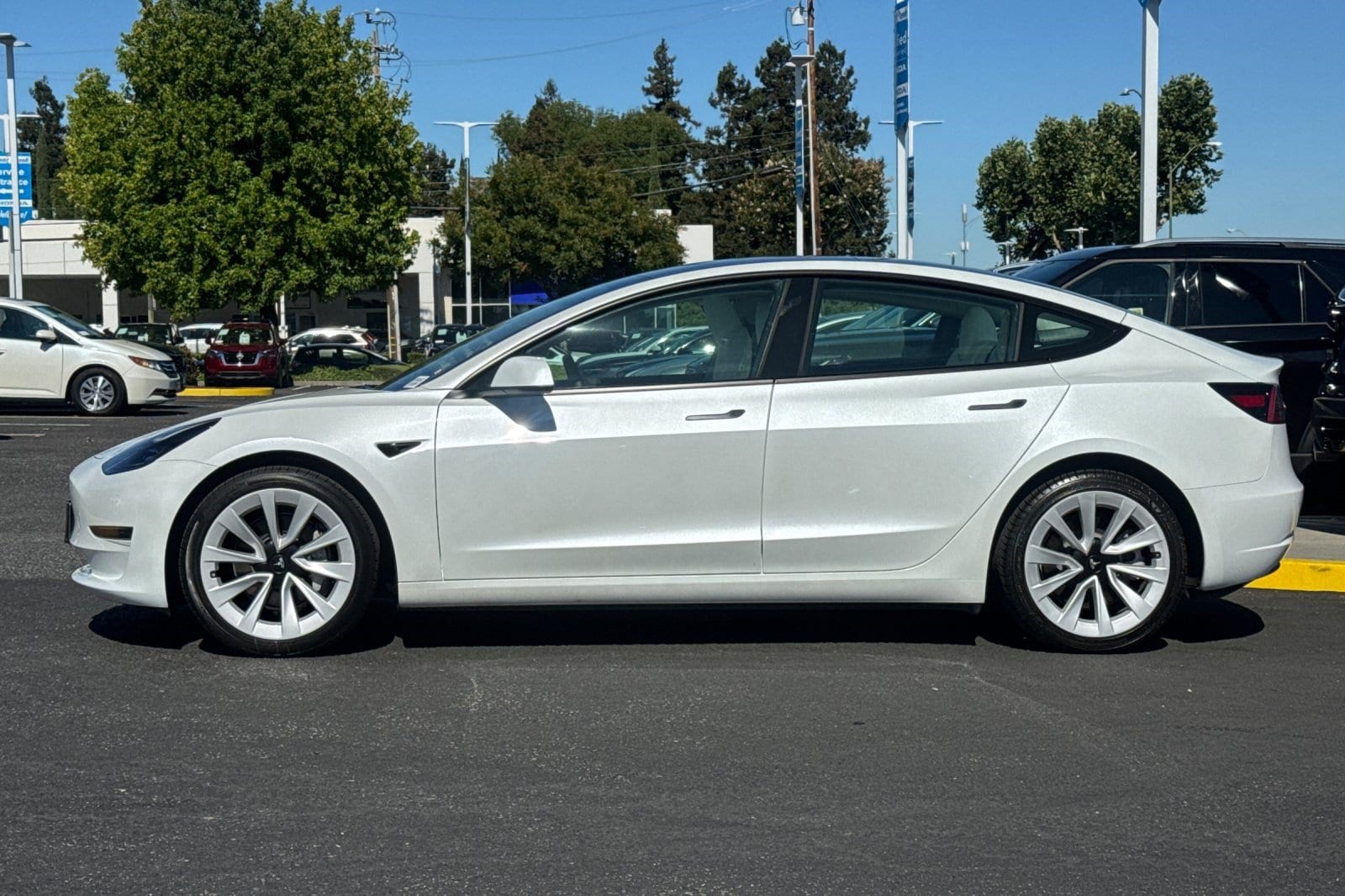 tesla model 3 2023 5YJ3E1EA6PF546447 image tesla model 3 2023 5YJ3E1EA6PF546447 image
